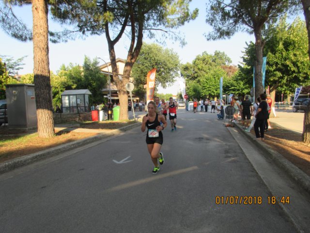 photo35.jpg