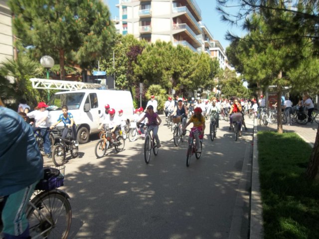 photo55.jpg