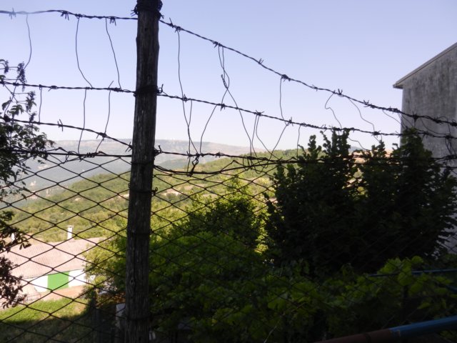photo.jpg