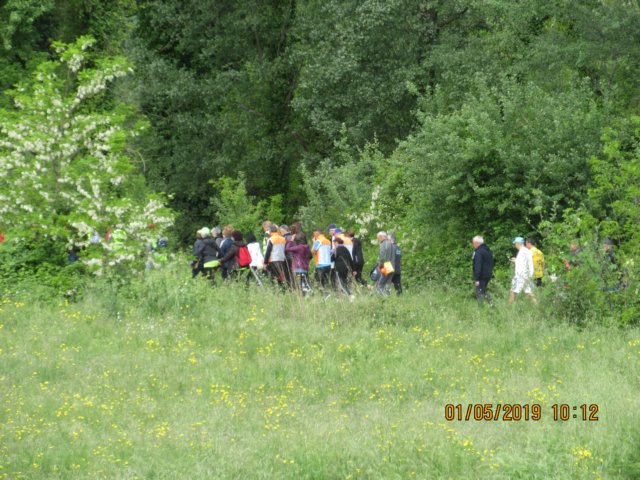 photo13.jpg