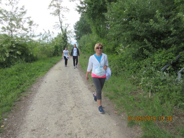 photo36.jpg