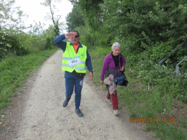 photo41.jpg