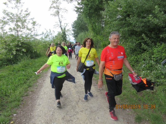 photo43.jpg