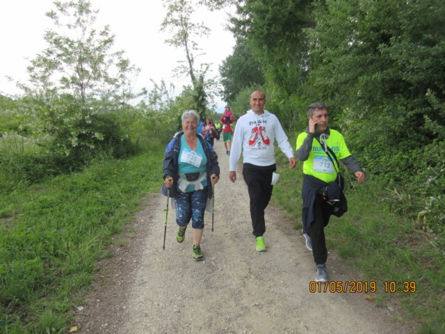 photo47.jpg