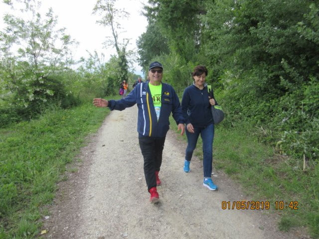 photo66.jpg