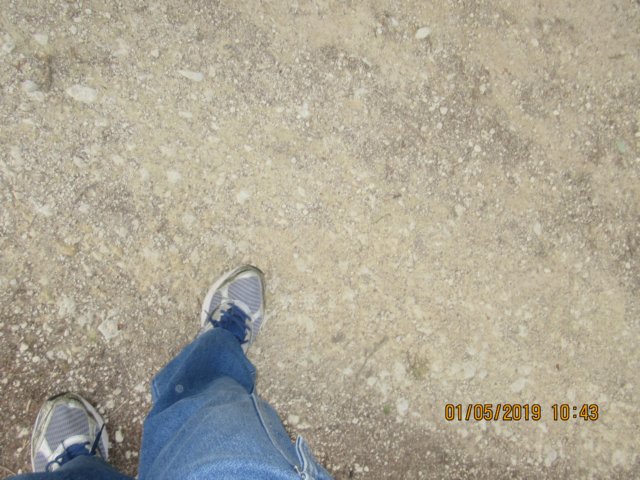photo74.jpg