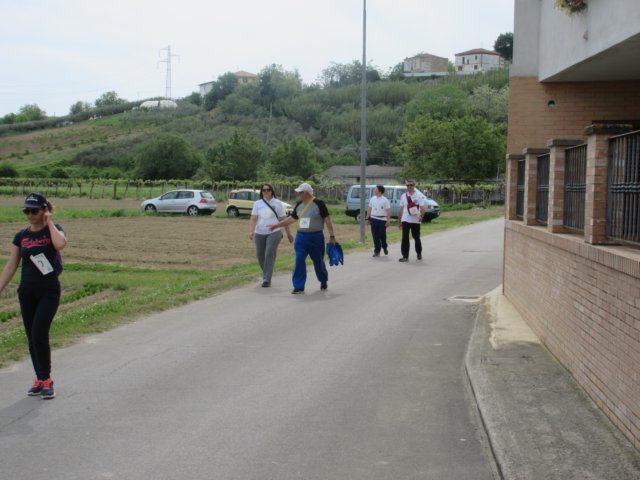 photo31.jpg