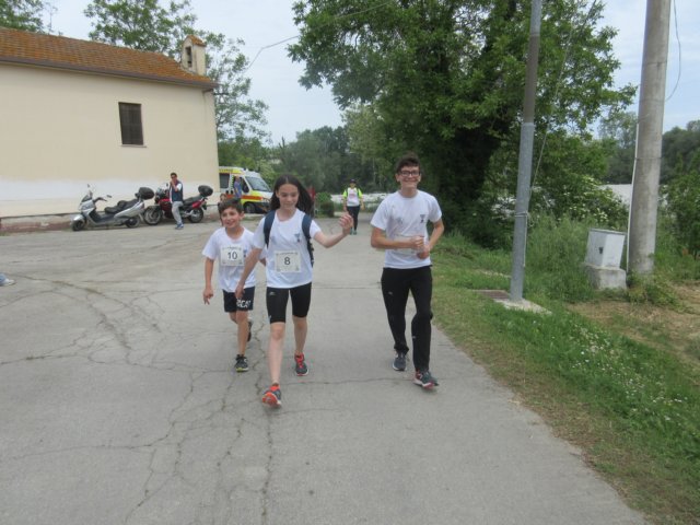 photo41.jpg