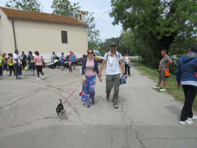 photo69.jpg
