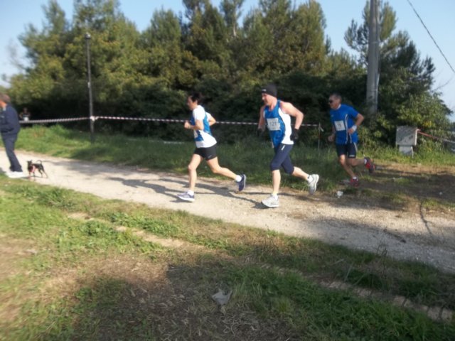 photo11.jpg
