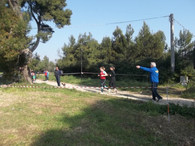 photo17.jpg