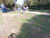 photo18_small.jpg