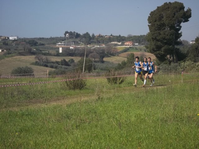 photo51.jpg