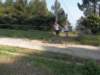 photo9_small.jpg