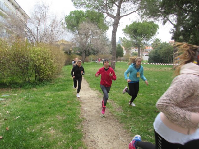 photo39.jpg