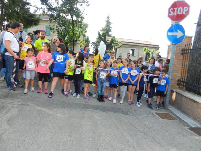photo61.jpg