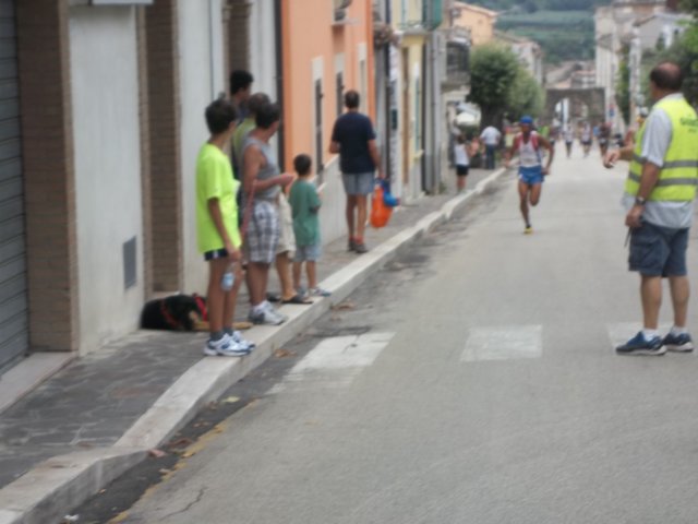 photo48.jpg