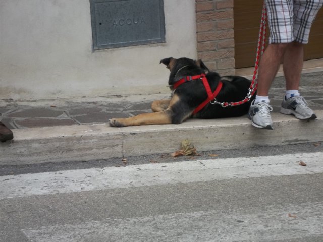 photo58.jpg