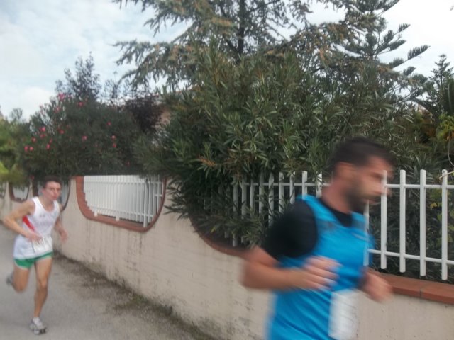 photo78.jpg