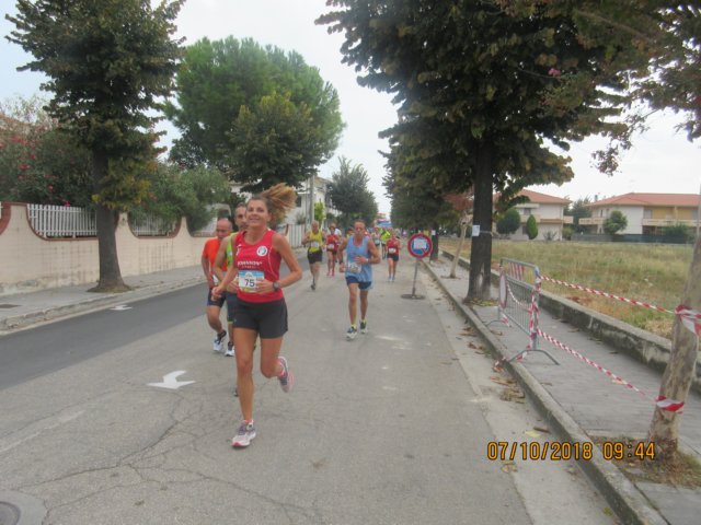 photo41.jpg