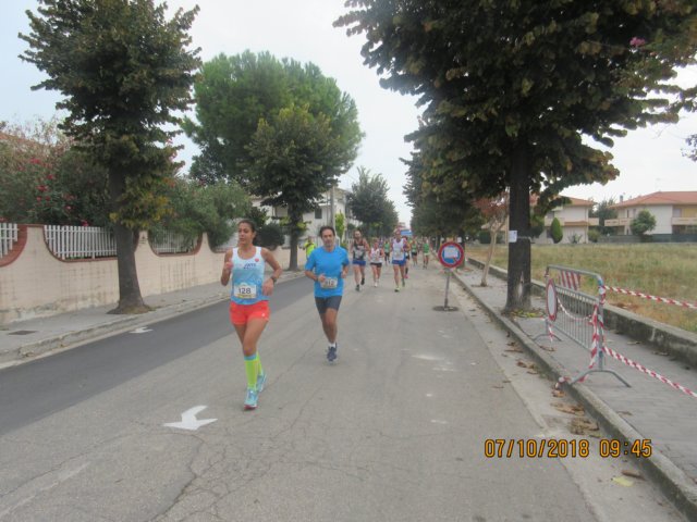 photo54.jpg