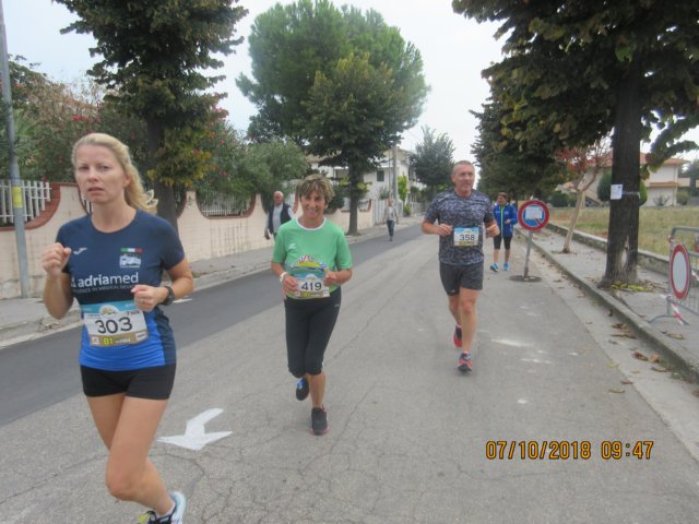 photo74.jpg