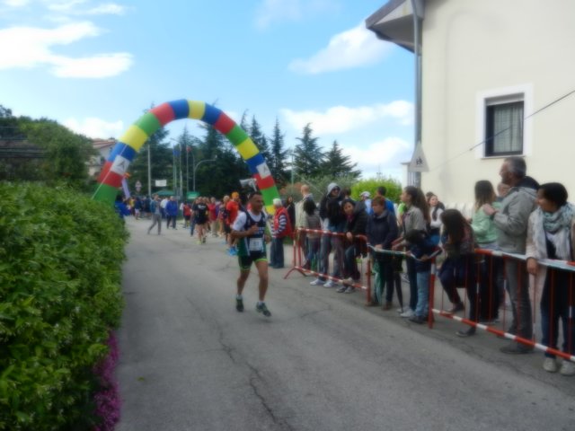 photo87.jpg