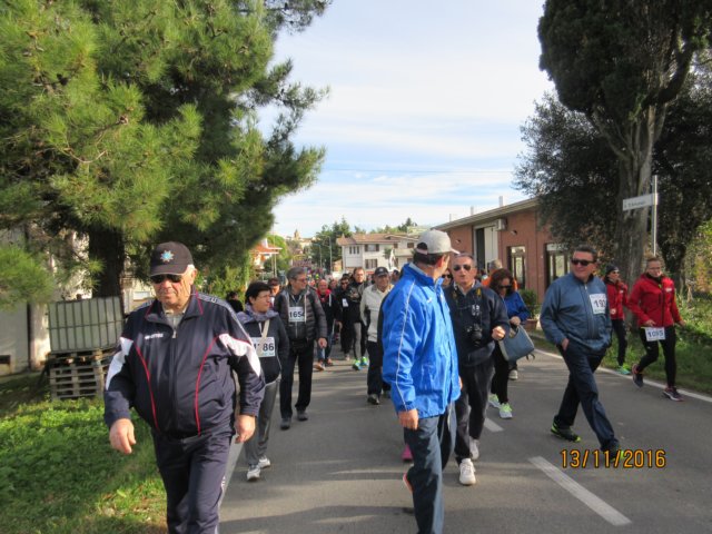 photo19.jpg