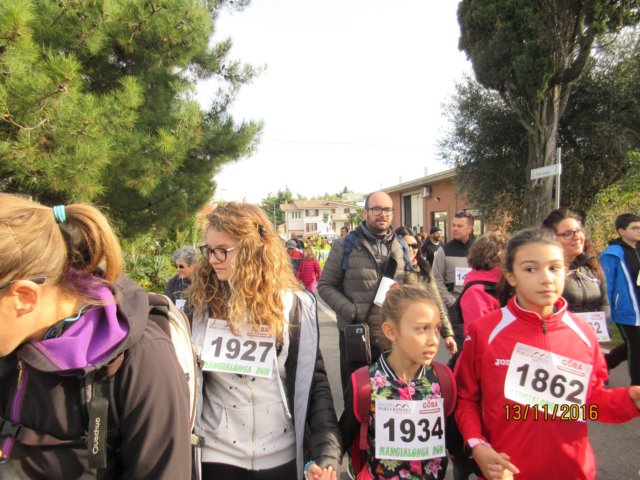 photo26.jpg