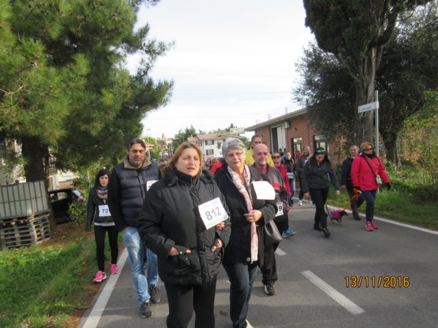photo32.jpg