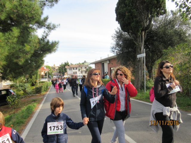 photo43.jpg