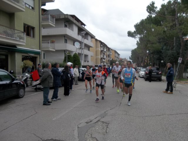 photo41.jpg