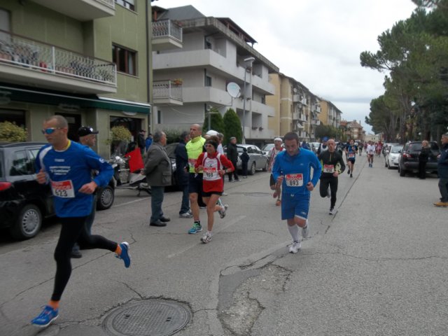 photo44.jpg