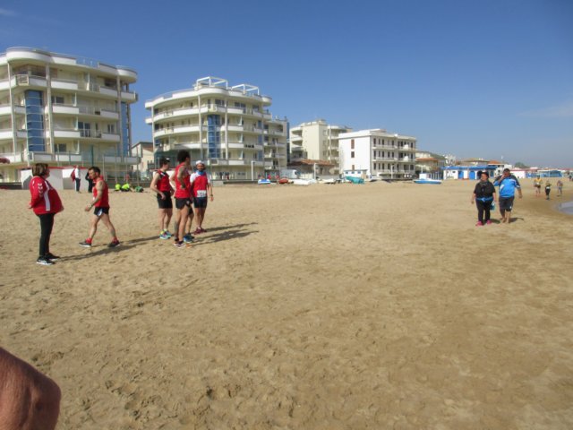 photo92.jpg