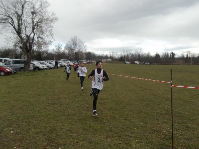 photo21.jpg