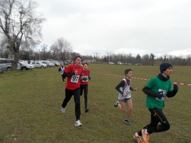 photo37.jpg