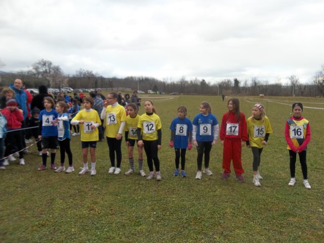 photo44.jpg
