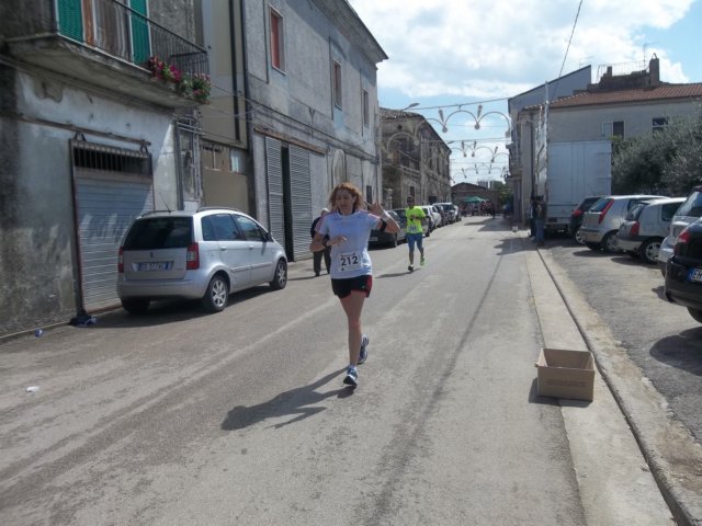 photo201.jpg