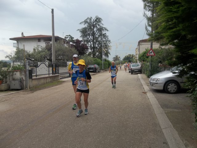 photo36.jpg