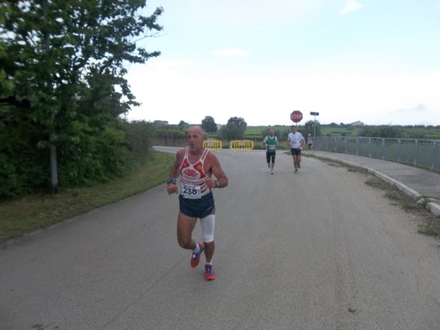 photo62.jpg
