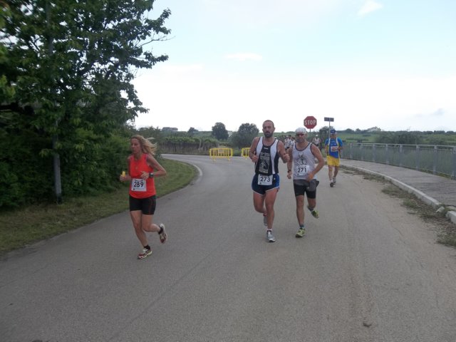 photo64.jpg