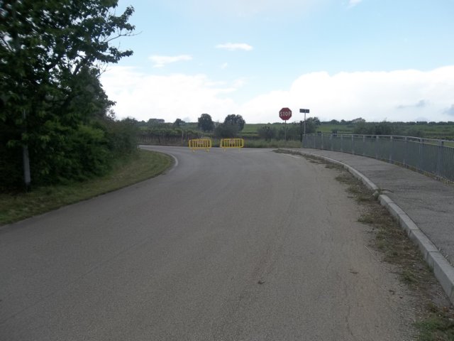 photo66.jpg