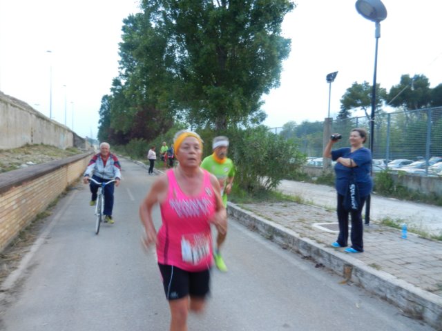 photo86.jpg