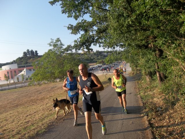photo25.jpg