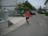 _9094_small.jpg