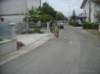_9098_small.jpg