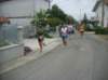 _9101_small.jpg