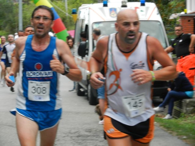 photo87.jpg