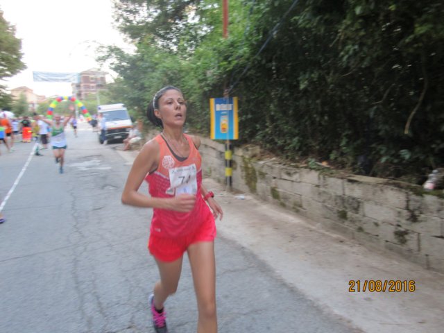 photo102.jpg