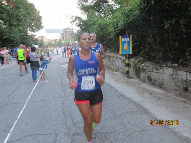 photo106.jpg